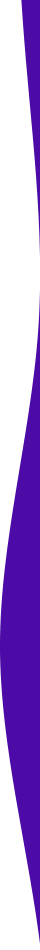 https://cinnamood.waabusiness.com/wp-content/uploads/2021/04/purple-detail-right.png